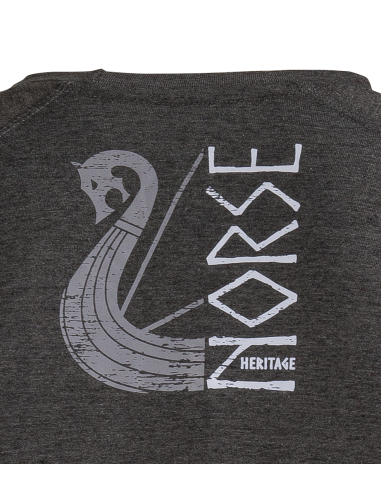 AESIR NORSE